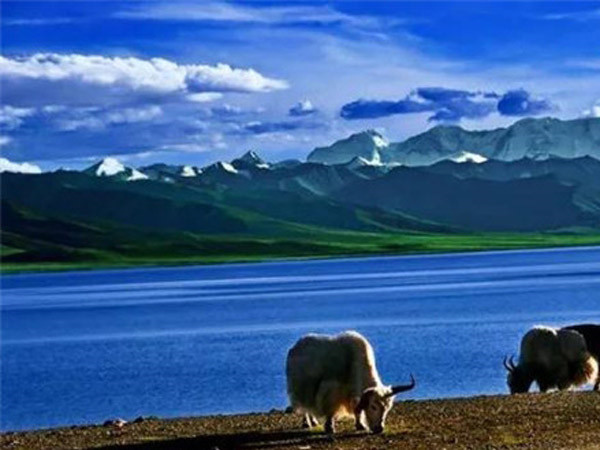 中集凌宇團委愛心送捐活動圓滿結(jié)束